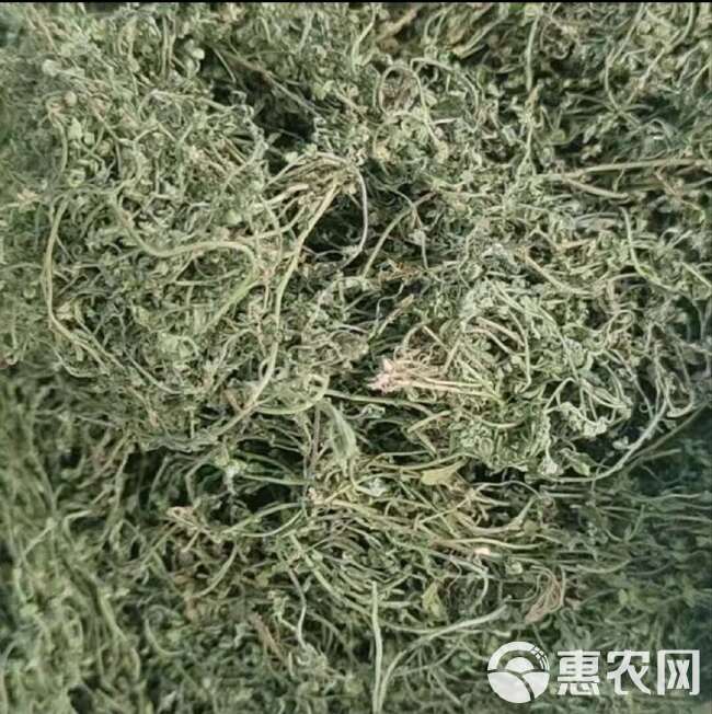 【原生原色】鹅不食胡荽鹅，新鲜采摘，自然晾晒，精选品质