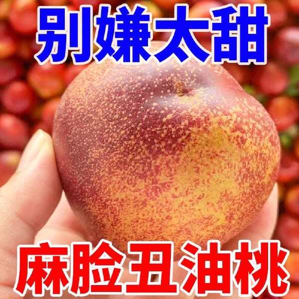 【超甜】麻脸黄心油桃桃子新鲜应季水果现摘脆桃整箱批发