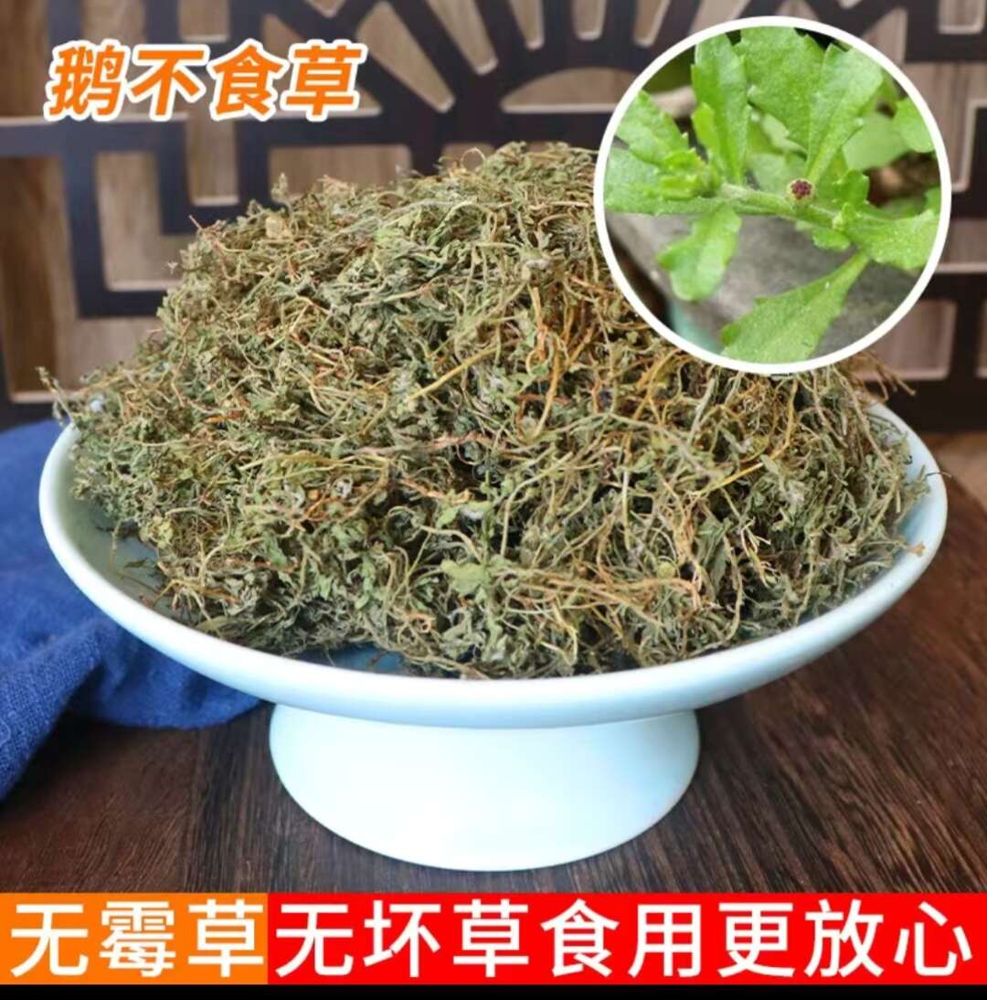 【原生原色】鹅不食新鲜采摘，自然晾晒，精选品质，优质中药材