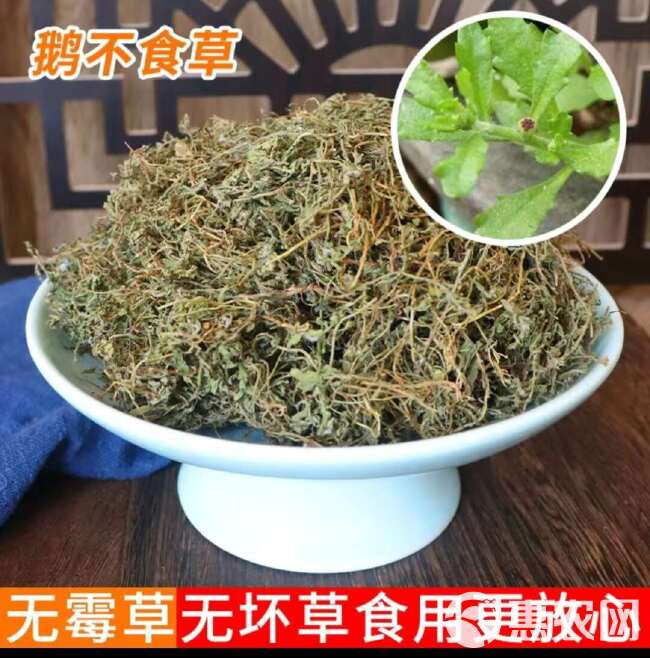 【原生原色】鹅不食胡荽鹅，新鲜采摘，自然晾晒，精选品质