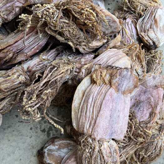 滕州市鱿鱼干