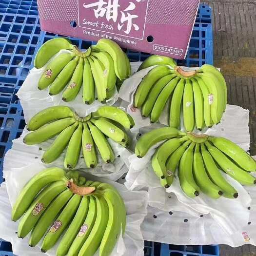 上海精品菲律宾二级蕉规模齐全品质保质保量全国可发需要的老板联系
