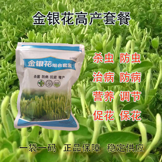 滑县金银花增产套餐杀虫防病治病促花增产