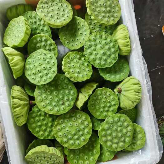 怀宁县精品水果莲蓬