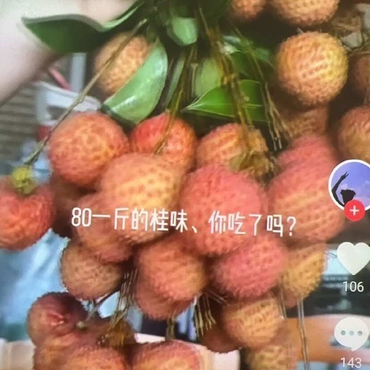 浦北县桂味