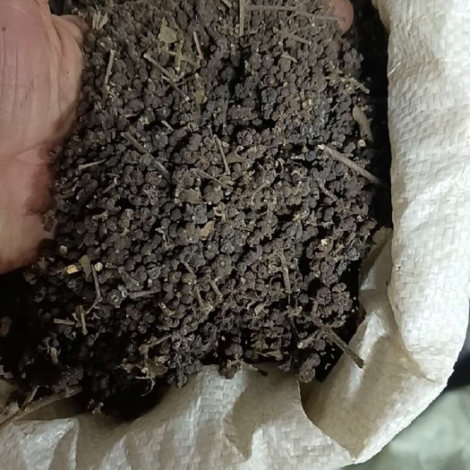 清远吴茱萸