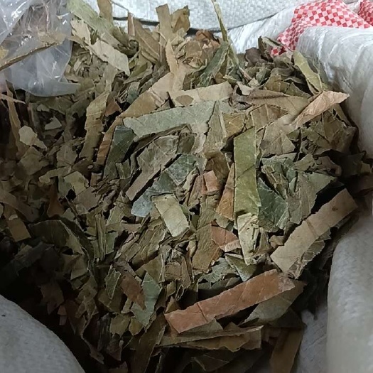 枇杷叶