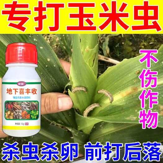栾川县玉米专用杀虫肥地上地下杀卵钻心虫黏虫螨虫食心虫肥批发
