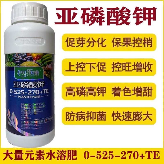 陆丰市亚磷酸钾叶面肥控梢控枉保果着色快速促进花芽分化秋梢老熟水溶肥