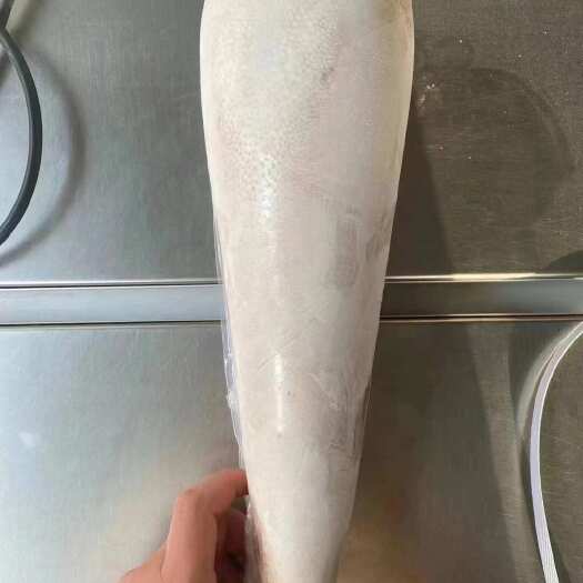 阳信县国产大公牛牛舌 精修不带舌根牛口条 商用烧烤火锅店食材供应。