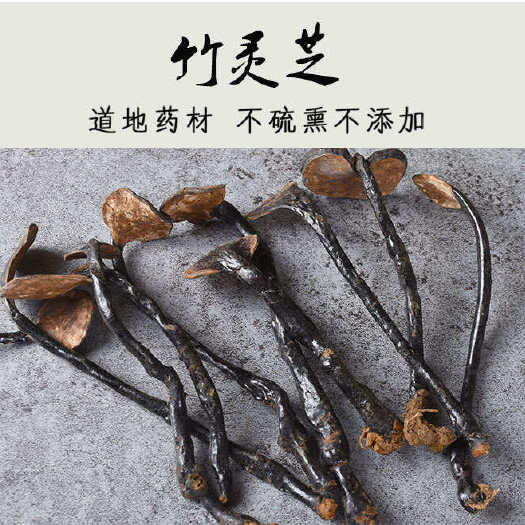 冠县竹灵芝 金边竹灵芝不苦的紫灵芝山东灵芝基地