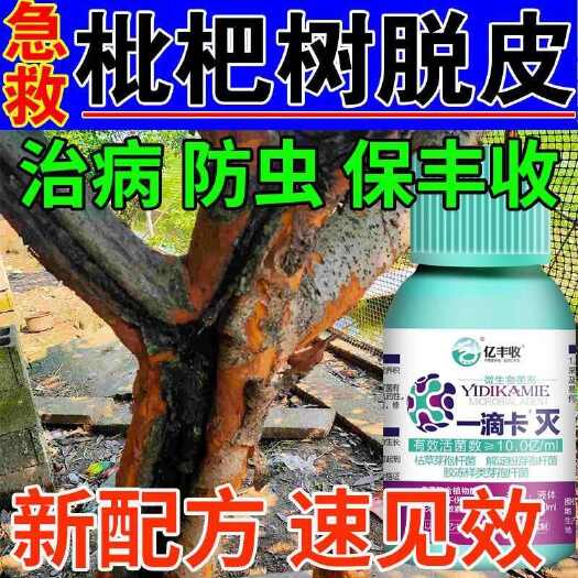 栾川县枇杷树脱皮药枇杷病专用药树干脱皮脱落掉皮干腐病腐烂病枯萎病