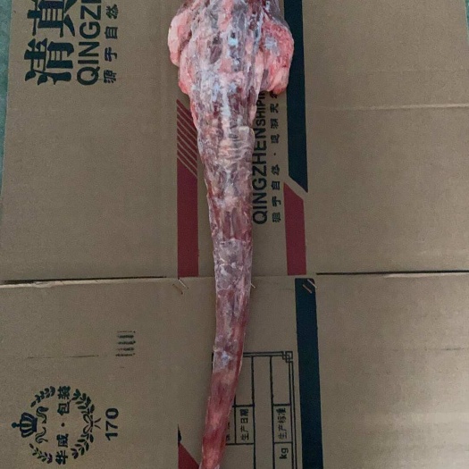 阳信县国产去皮牛尾 整根 可切块 实拍图片质量看得见 厂家直发