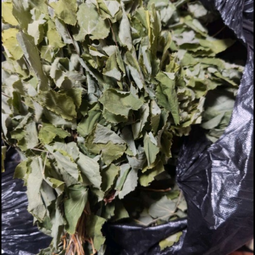 宁强县陕西宁强天然小叶柔毛淫羊藿