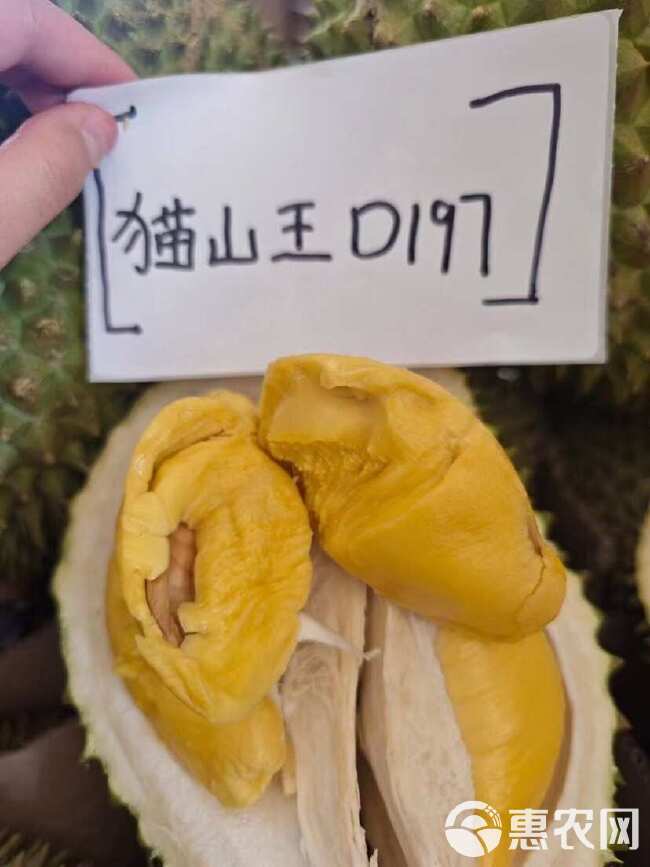 泰国猫山王D197榴莲 非托曼尼 肉黄核小 2-5斤包4房肉