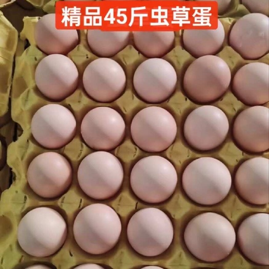 44/45精品双色换羽大五