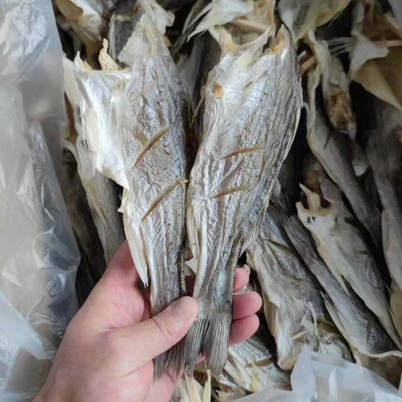 海鲈鱼干 展会 地摊 电商 无头海鲈鱼干 鲈鱼片 开肚海鲈鱼