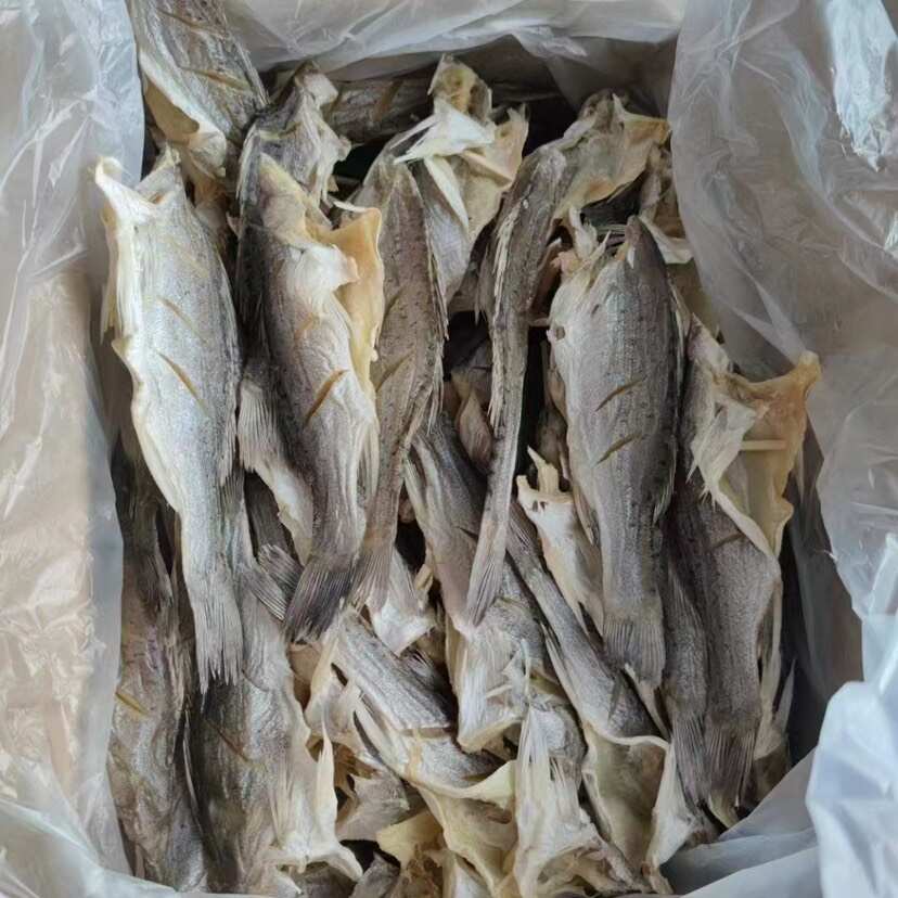 海鲈鱼干 展会 地摊 电商 无头海鲈鱼干 鲈鱼片 开肚海鲈鱼