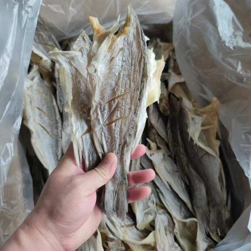 海鲈鱼干 展会 地摊 电商 无头海鲈鱼干 鲈鱼片 开肚海鲈鱼