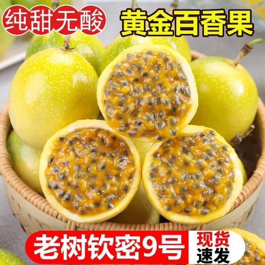 三亚海南百香果钦蜜九号一件代发！货源稳定！精品质量电商价格！