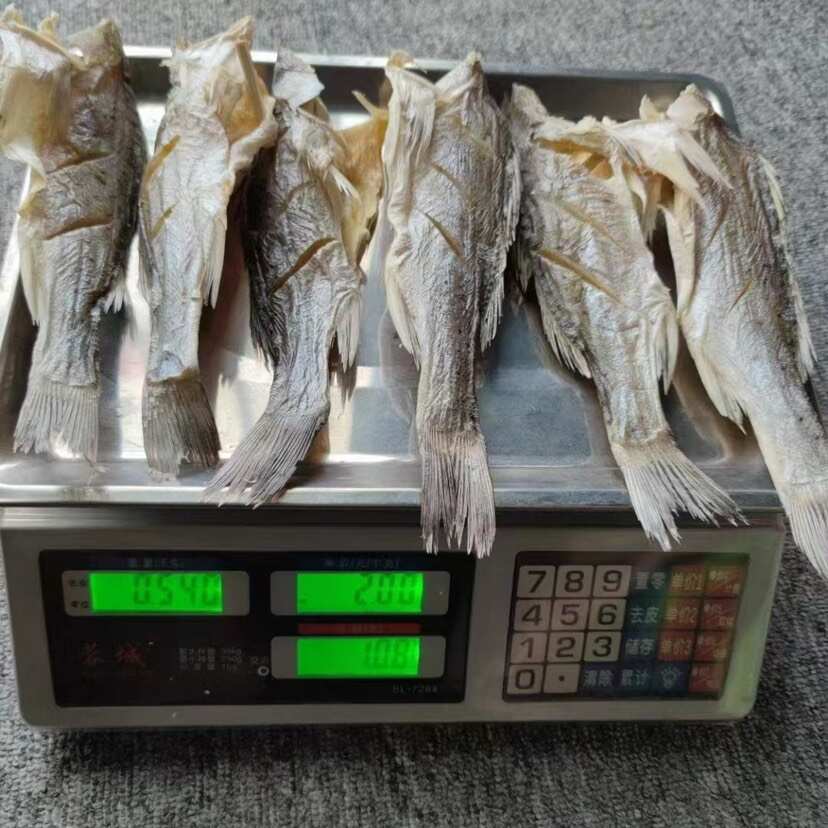 海鲈鱼干 展会 地摊 电商 无头海鲈鱼干 鲈鱼片 开肚海鲈鱼