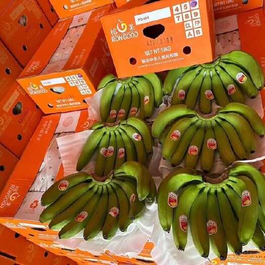 上海精品二级蕉