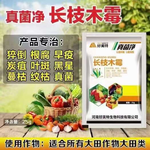通许县真菌净，长枝木霉，微生物菌剂