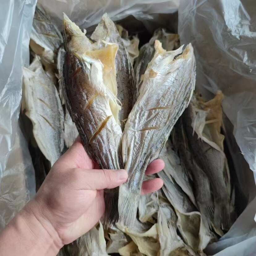 海鲈鱼干 展会 地摊 电商 无头海鲈鱼干 鲈鱼片 开肚海鲈鱼