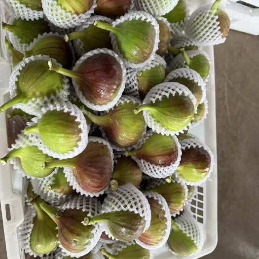 昆明波姬红无花果，质量相当得好