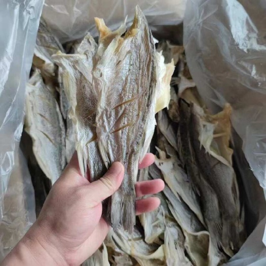 海鲈鱼干 展会 地摊 电商 无头海鲈鱼干 鲈鱼片 开肚海鲈鱼