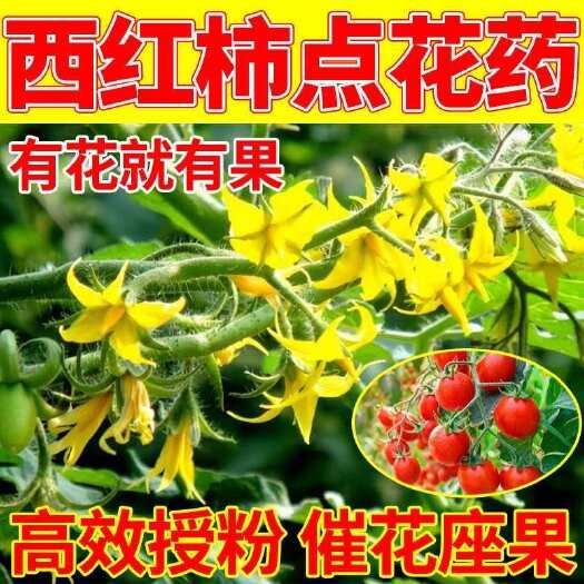 栾川县西红柿授粉座果灵点花免人工番茄授粉生根壮苗催花座果番茄授粉