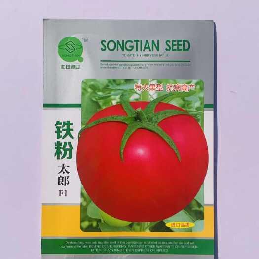 铁粉太郎番茄种子粉太郎粉红番茄种子高秧粉果硬果西红柿种籽高产