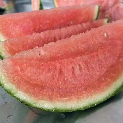 北京庞各庄小吊瓜