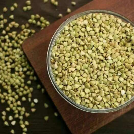  荞麦