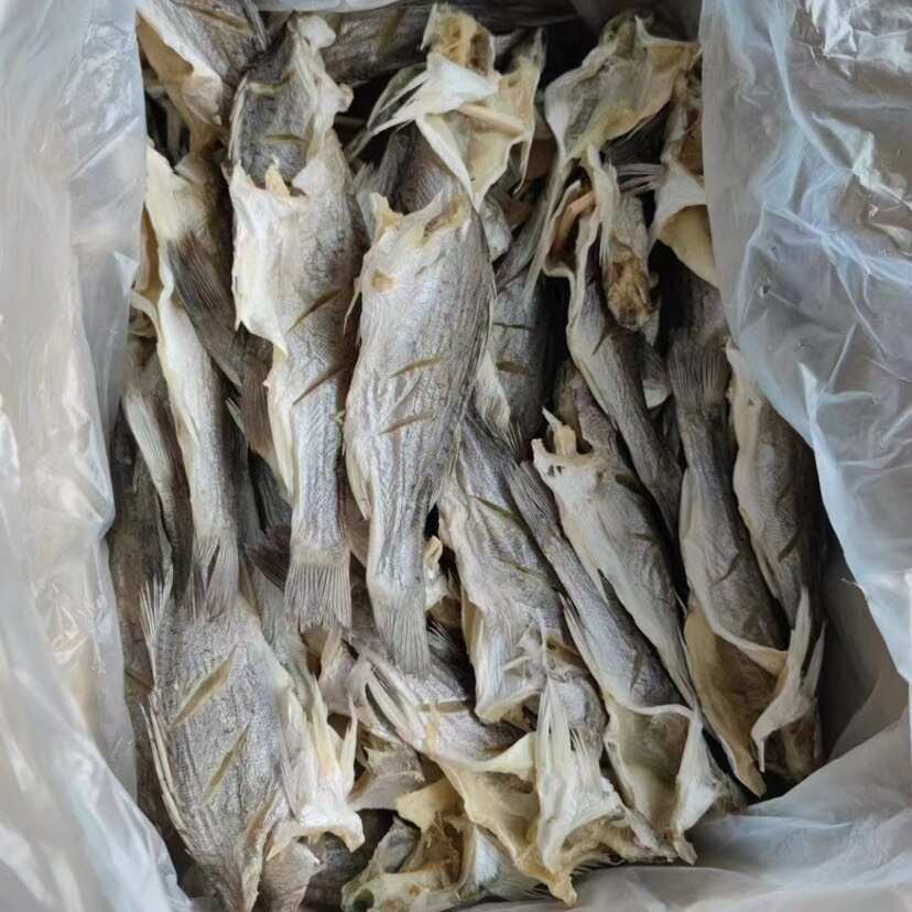 海鲈鱼干 展会 地摊 电商 无头海鲈鱼干 鲈鱼片 开肚海鲈鱼