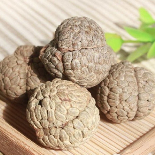 梧州干草蔻