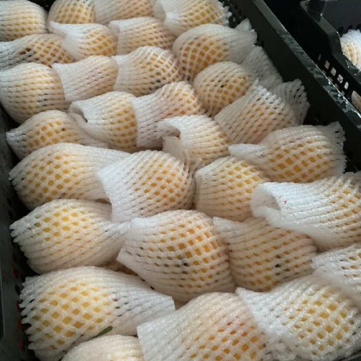 鄱阳县黄桃