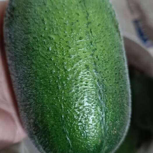 宁远县正宗苹果丝瓜