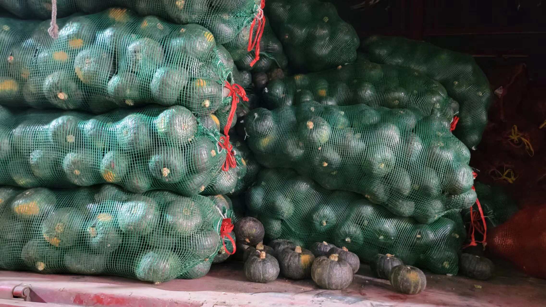 贝贝瓜  一件代发  批发