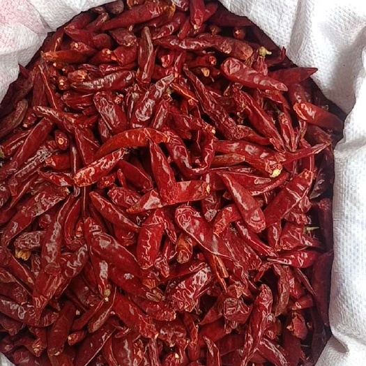 长沙红辣椒