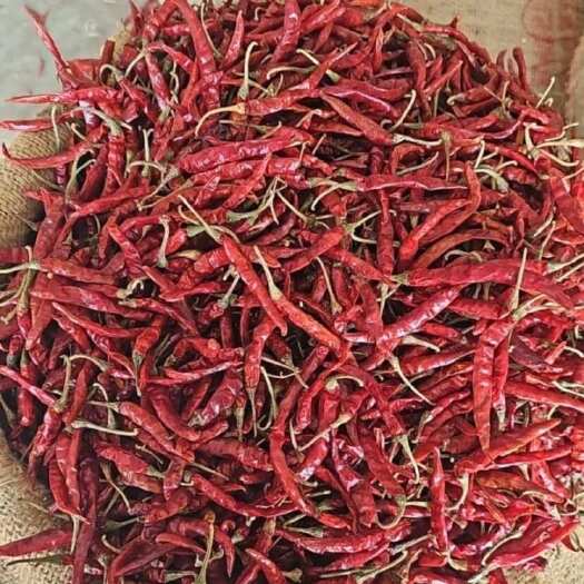 长沙印度S17较好品质带把干辣椒，从印度，新货