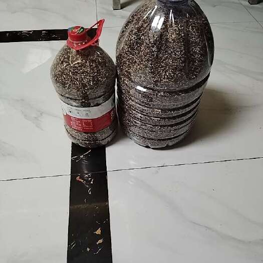 长沙紫米
