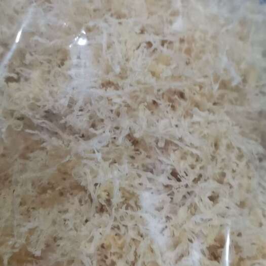 古田县切丝银耳，银耳丝，开水烫十几秒，凉拌、刷锅食材