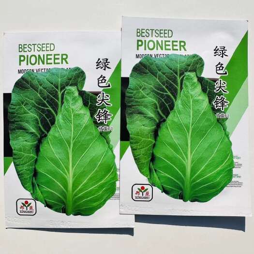 绿色尖锋牛心甘蓝种子春秋陆地栽培 春秀甘蓝耐寒性牛心甘蓝种子