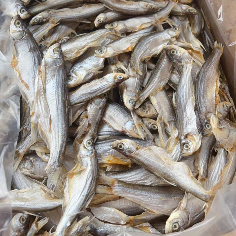 生晒淡干白条鱼干 展会 地摊 电商 刁子鱼干 批发 餐条鱼干