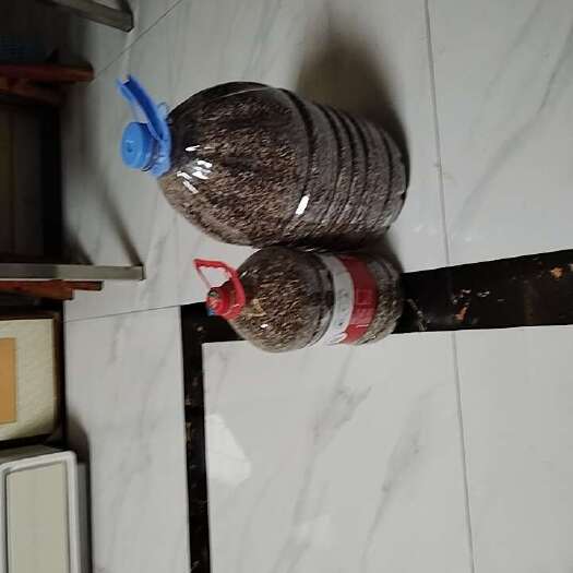 长沙紫米，糙米和精米两种
