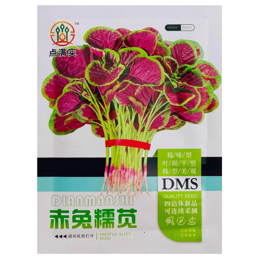 沭阳县赤兔糯苋圆叶花红苋菜种子红汉菜四倍体育成采收长软糯香甜春秋播