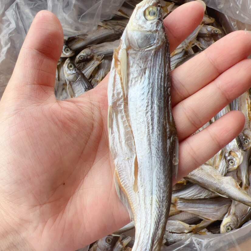 生晒淡干白条鱼干 展会 地摊 电商 刁子鱼干 批发 餐条鱼干