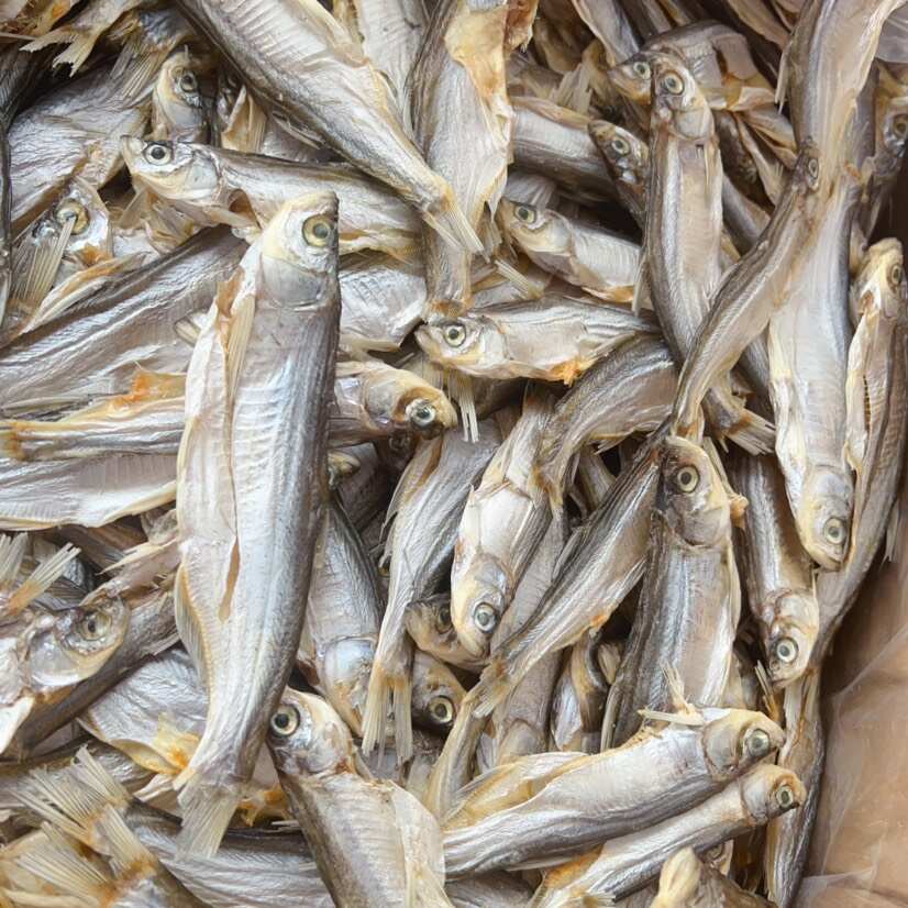 生晒淡干白条鱼干 展会 地摊 电商 刁子鱼干 批发 餐条鱼干