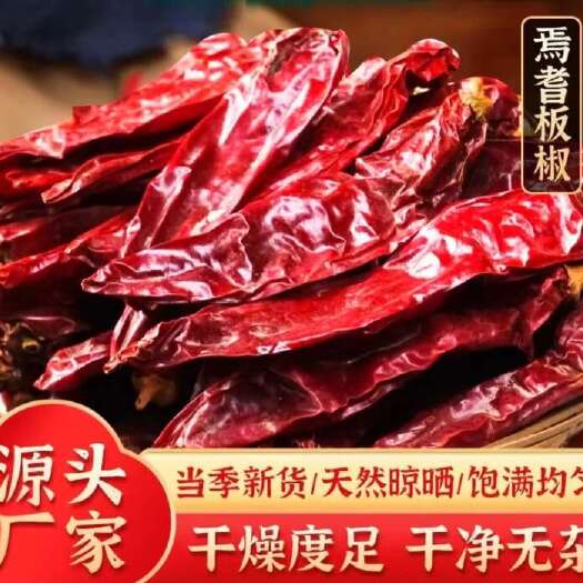 乌鲁木齐皱皮椒 新疆维吾尔自治区巴音郭楞蒙古自治州和硕县